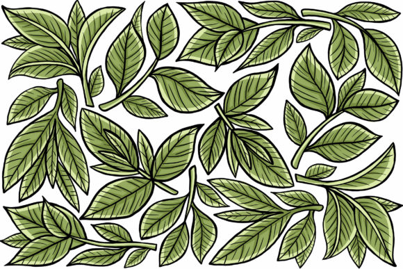 Download Leaf Graphic Element - Graphic Collection