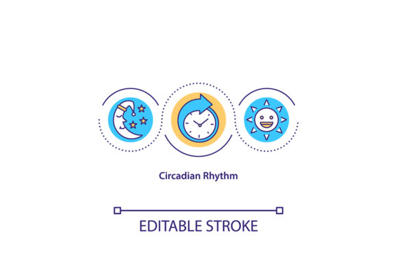 Download Circadian Rhythm Concept Icon - Premium Resources